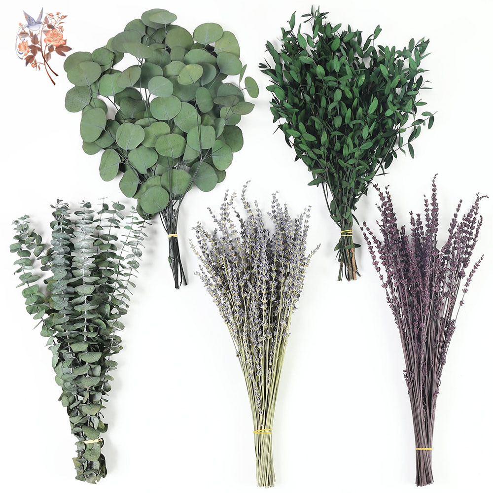 110Pcs Mix Dried Eucalyptus Le - Home Fragrance Fillers 评论和价格