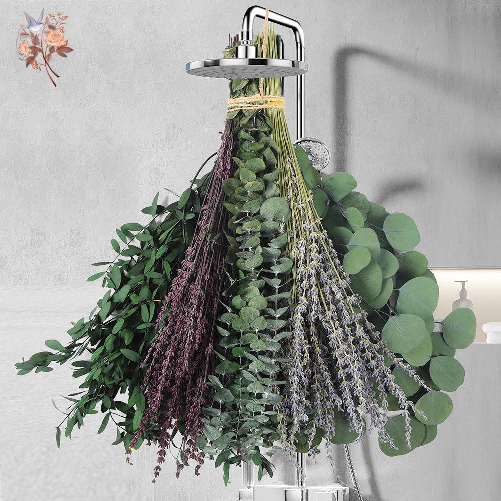 110Pcs Mix Dried Eucalyptus Le - Home Fragrance Fillers 评论和价格