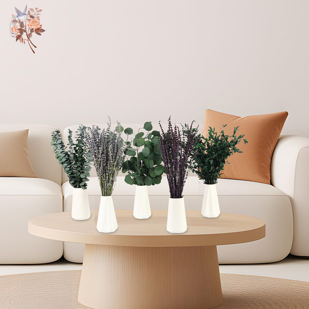 110Pcs Mix Dried Eucalyptus Le - Home Fragrance Fillers 评论和价格