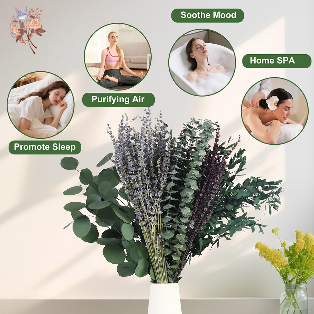 110Pcs Mix Dried Eucalyptus Le - Home Fragrance Fillers 评论和价格