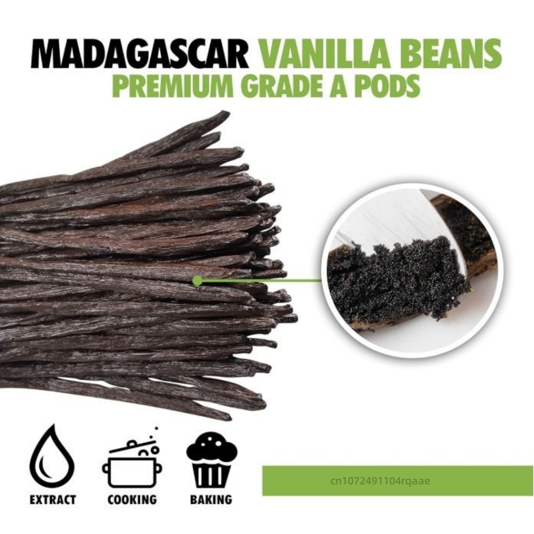 14-17cm Premium Madagascar Van - Home Fragrance Vanilla 评论和价格