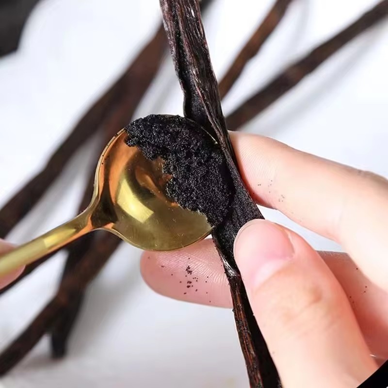 14-17cm Premium Madagascar Van - Home Fragrance Vanilla 评论和价格