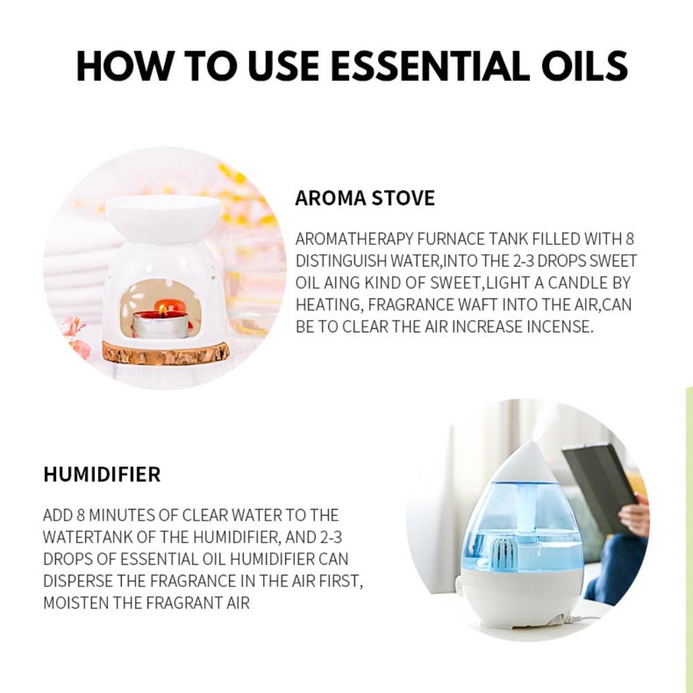 12 Flavors 10ml Essential Oils - Home Fragrance Vanilla 评论和价格