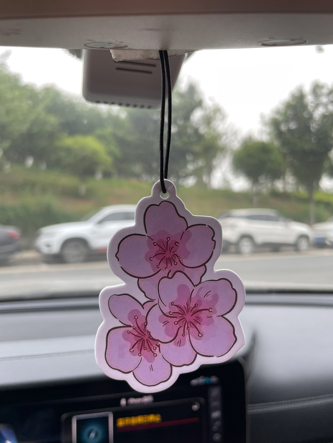 Sakura/Freesia Fresh Scent Fiv - Home Fragrance Janzen 评论和价格